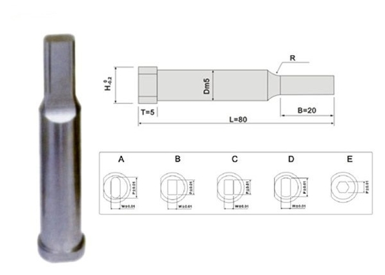 Alcrona Die Punch Pins SKH51, ปั๊มเจาะรูสี่เหลี่ยม Customized