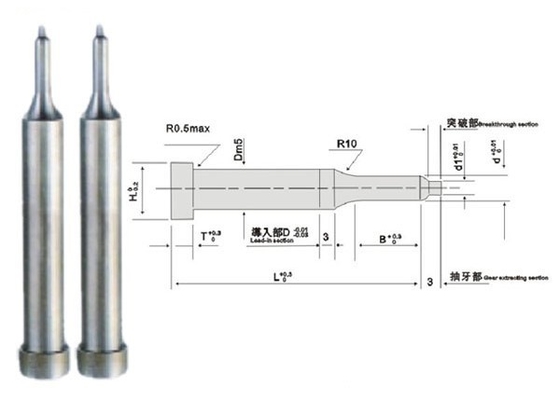 หมุดย้ำ Die Punch สแตนเลส SKH40 HRC 60 PVD การเคลือบที่ไม่ได้มาตรฐาน